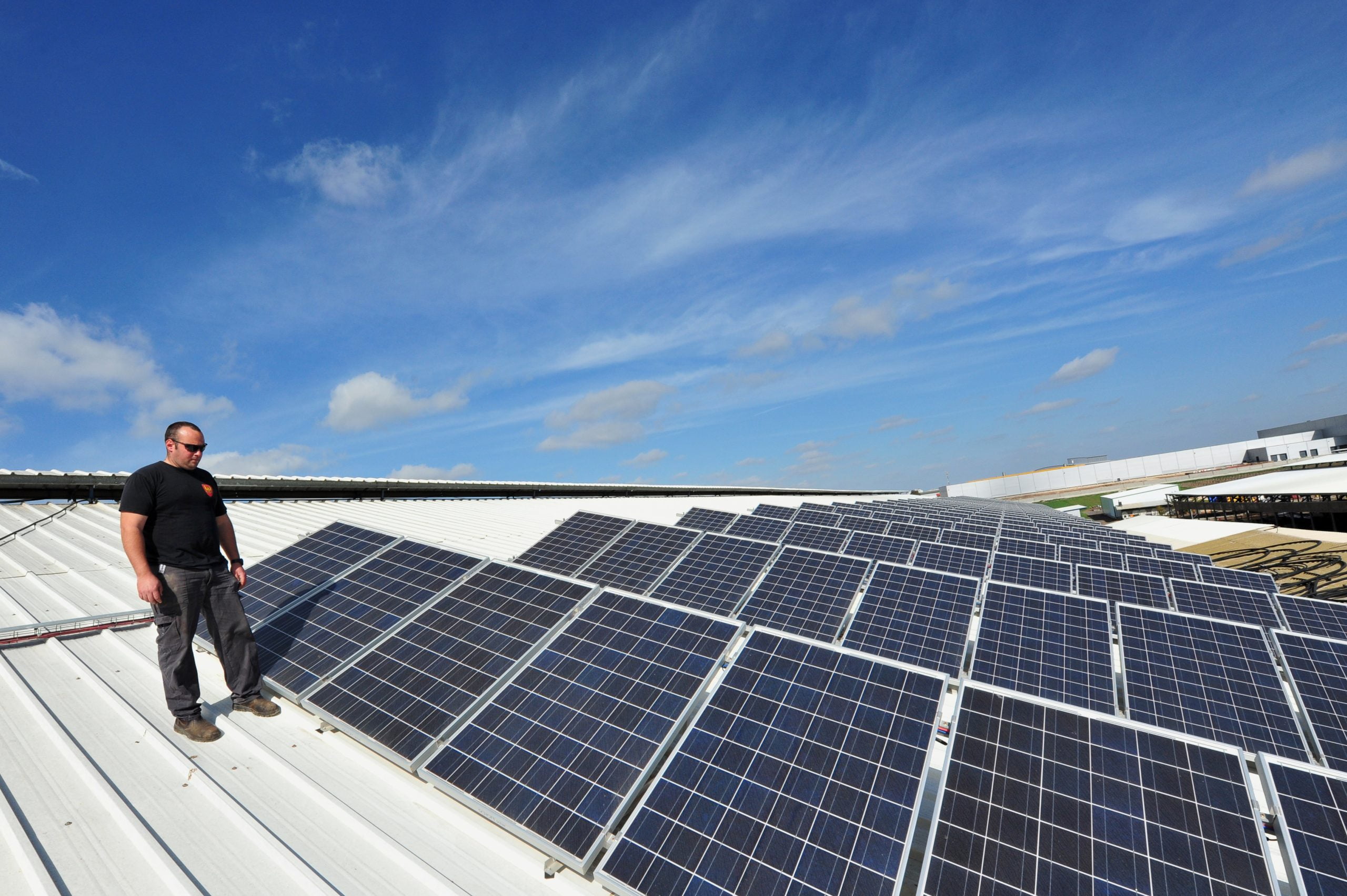 Man looking at solar panels