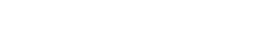 Stony Brook University